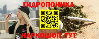 молекула духа Можга